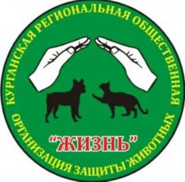 Домашние питомцы