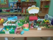 Смотр – конкурс «Экологические уголки»